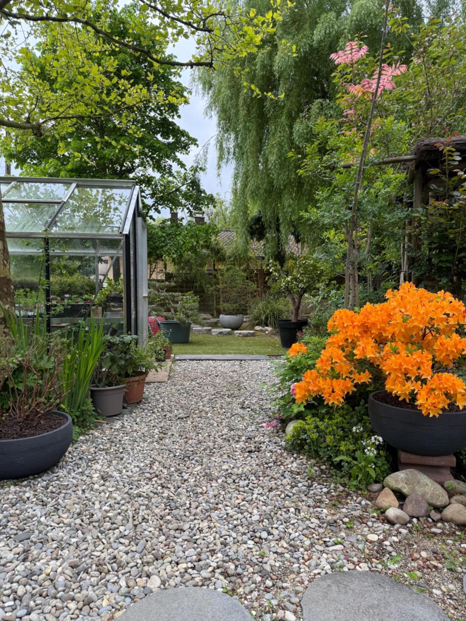 Le Jardin De La Tuilerie Hotel Pfastatt Buitenkant foto