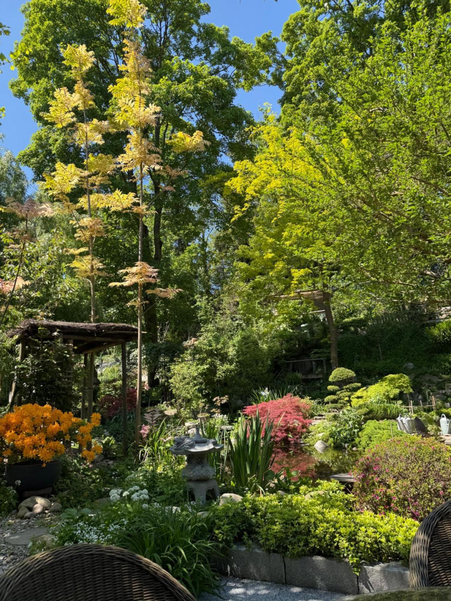Le Jardin De La Tuilerie Hotel Pfastatt Buitenkant foto