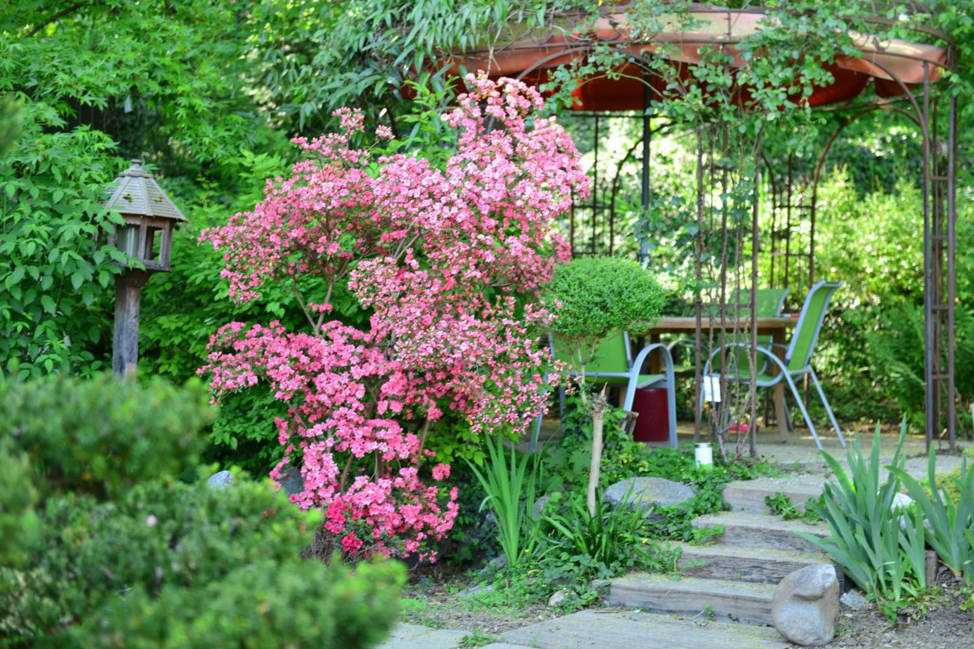 Le Jardin De La Tuilerie Hotel Pfastatt Buitenkant foto